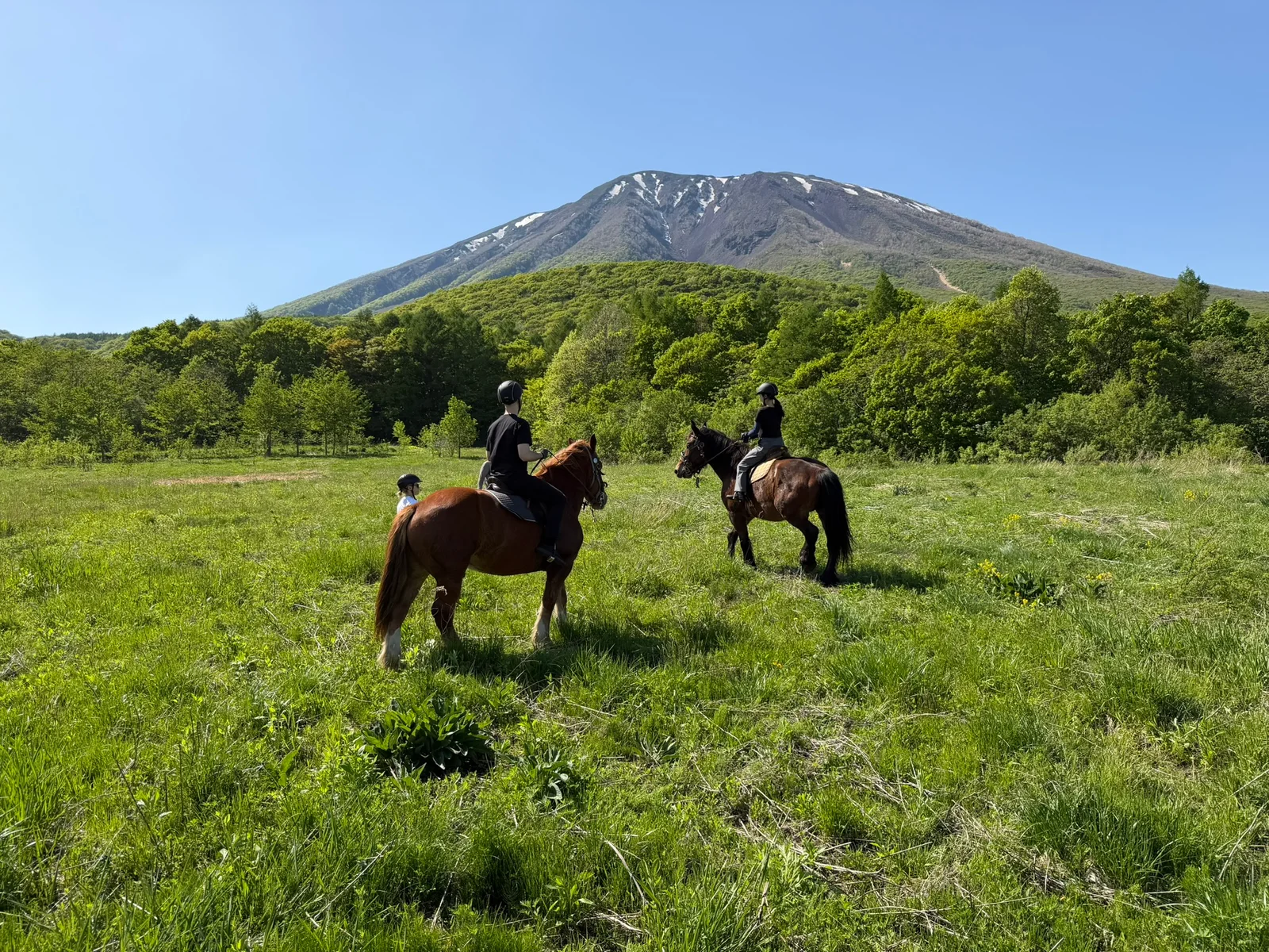 岩手山を望む草原での乗馬体験