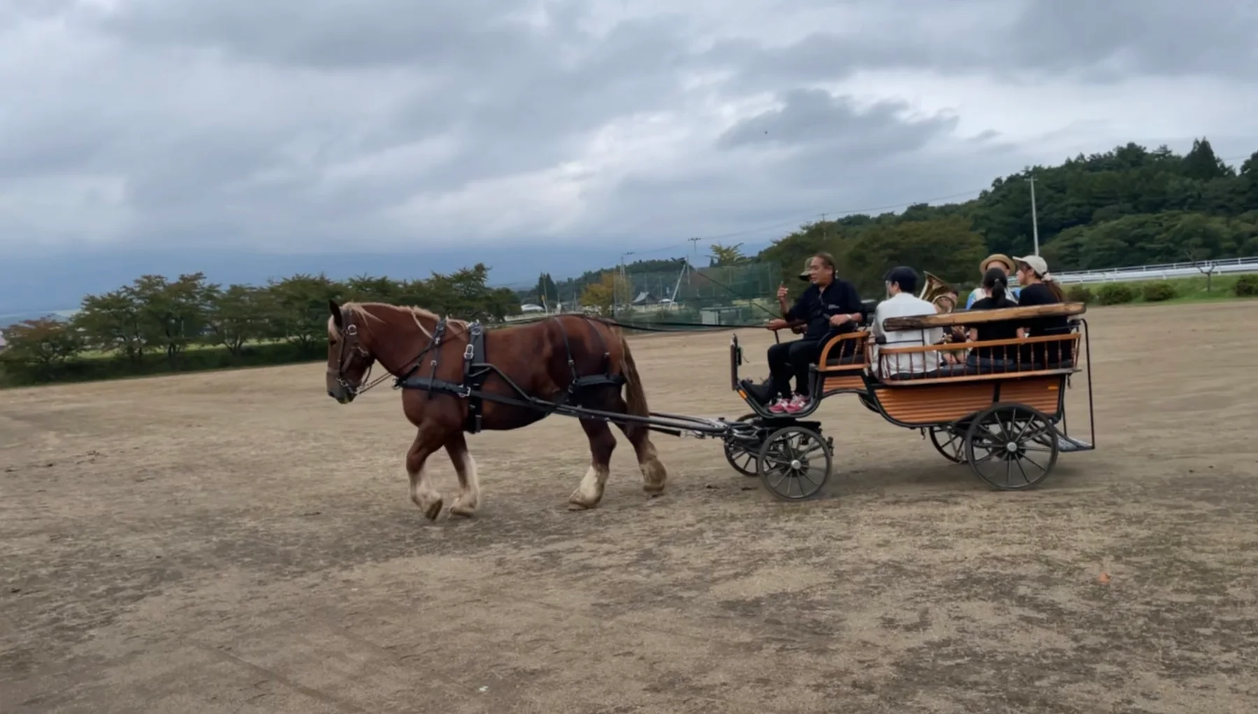 農耕馬が曳く馬車体験